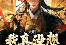 哪里能找到大明:我真没想当皇帝!小说的全部章节?-乐读文学