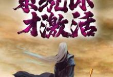 哪里能找到我都大乘了,系统你才激活?小说的最新更新和免费章节?-乐读文学