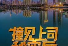 在线寻找秦天柱林雨琪的小说,撞见上司秘密后,他平步青云了免费阅读-乐读文学