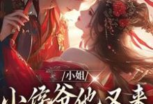免费在线阅读小姐,小侯爷他又来爬墙看你了小说的正规网站有哪些?-乐读文学