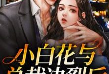 哪里能找到小白花与总裁决裂后,他后悔疯了小说的全部章节?-乐读文学