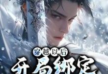 秦洛小说叫什么(穿越以后,开局绑定反派系统免费阅读)-乐读文学