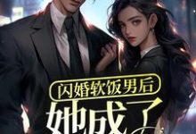主角叫湛行洲言若初小说闪婚软饭男后,她成了富太太?章节免费阅读-乐读文学