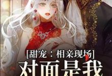 甜宠:相亲现场,对面是我暗恋对象小说全文哪里可以免费看?-乐读文学