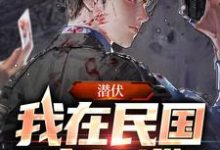 潜伏:我在民国当间谍小说的免费电子版在哪里可以下载或阅读?-乐读文学