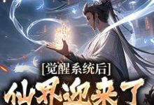 主角林夜小说觉醒系统后,仙界迎来了互联网时代免费阅读-乐读文学