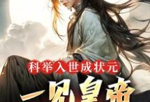 《科举入世成状元,一见皇帝他麻了》全集免费在线阅读(唐寅)-乐读文学