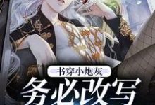 书穿小炮灰,务必改写好结局顾小溪陆建森小说大结局免费试读-乐读文学