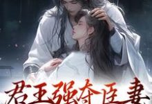 小说《君王强夺臣妻,只为惊鸿一面》在线章节阅读-乐读文学