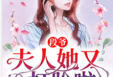 求段爷,夫人她又双叒打脸啦小说免费资源-乐读文学