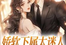 在线寻找付清雾温时的小说,娇软下属太迷人,霸总深陷其中免费阅读-乐读文学