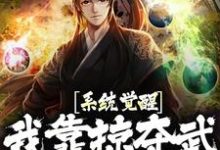 系统觉醒!我靠掠夺武魂无敌了小说,系统觉醒!我靠掠夺武魂无敌了免费阅读-乐读文学