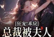 已完结小说《狂宠!乖戾总裁被夫人训服了》在线章节阅读-乐读文学