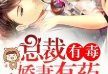 小说《总裁有毒:娇妻有药》章节免费阅读-乐读文学