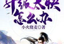《玄幻:升级太快怎么办》小说大结局免费试读 王大宝剑修刘胖子小说-乐读文学