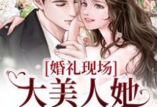 免费阅读秦悦黎焰为主角的小说,婚礼现场,大美人她喜提绿帽在线看-乐读文学
