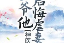 完结版《神医弃妃:王爷他后悔虐妻了》免费阅读-乐读文学