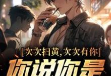 小说《次次扫黄次次有你,你说你是卧底?》章节免费阅读-乐读文学