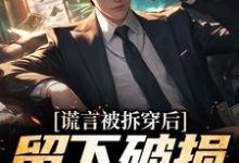 小说《谎言被拆穿后,留下破损的婚姻》章节免费阅读-乐读文学