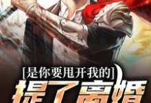 是你要甩开我的,提了离婚你哭啥?小说全文阅读需要付费吗?寻找免费资源-乐读文学