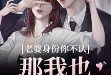 老婆身份你不认?那我也不要你了这本小说在哪里可以看?哪里有免费试读章节?-乐读文学