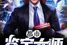 都市鉴宝大师小说,都市鉴宝大师最新章节-乐读文学