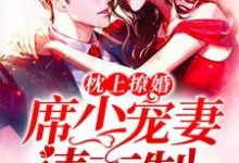 小说《枕上撩婚:席少,宠妻请克制》章节免费阅读-乐读文学