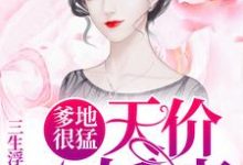 爹地很猛:天价小娇妻小说有没有完结版在线?-乐读文学