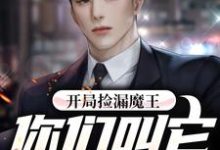 已完结小说《开局捡漏魔王,你们叫它史莱姆?》最新章节-乐读文学