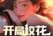 小说《开局校花怀了我的孩子》章节免费阅读-乐读文学