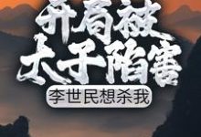 《开局被太子陷害,李世民想杀我》小说主角李恪李舒婉章节章节免费在线阅读-乐读文学