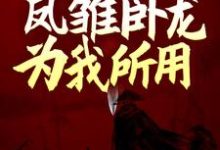 完结版《三国:开局娶妻,凤雏卧龙为我所用》免费阅读-乐读文学