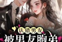 免费在线阅读认错男友,被男友胞弟赖上怎么办?小说的正规网站有哪些?-乐读文学
