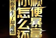 小说《让你重生了却遗憾,你怎么还顺便暴富了?》章节免费阅读-乐读文学