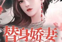 替身娇妻不好惹小说的无弹窗阅读体验,寻找免费阅读网站-乐读文学