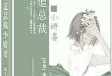 免费阅读陈若希周安良为主角的小说,霸道总裁小娇妻在线看-乐读文学
