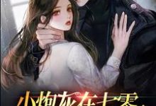 苏茉陆长征的故事在哪本书里?免费阅读小炮灰在七零,燎的军官宠上天-乐读文学