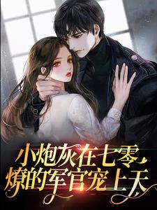 苏茉陆长征的故事在哪本书里？免费阅读小炮灰在七零，燎的军官宠上天
