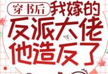 穿书后,我嫁的反派大佬他造反了小说全文哪里可以免费看?-乐读文学