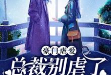 完整版的豪门虐爱:总裁别虐了,夫人已婚了小说在哪里可以免费读到?-乐读文学