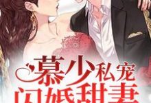 慕少私宠闪婚甜妻小说全文哪里可以免费看?-乐读文学