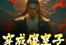 《穿成傻皇子,我大闹京都》全集免费在线阅读(萧万平赵十三)-乐读文学