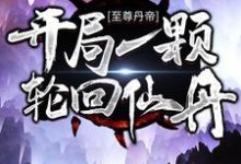 至尊丹帝:开局一颗轮回仙丹小说,至尊丹帝:开局一颗轮回仙丹章节在线阅读-乐读文学