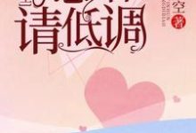 想读顾南心陆漠北的故事,哪里可以免费找到陆先生,隐婚请低调?-乐读文学