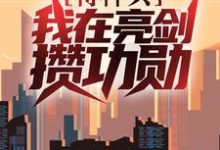 特种兵:我在亮剑攒功勋这本小说怎么样?免费在线阅读试试-乐读文学