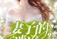 人到三十:妻子的迷途小说的最新章节在哪里更新?免费追踪阅读-乐读文学