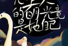 主人公叫周沉时星瑶的小说哪里免费看-乐读文学