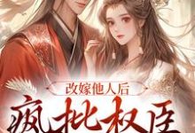 陆修砚苏皎皎的小说在哪里看?免费在线阅读改嫁他人后,疯批权臣发疯了-乐读文学