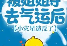 被姐姐夺去气运后,小灾星造反了小说全文阅读需要付费吗?寻找免费资源-乐读文学