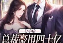 小说《分手后,总裁豪甩四十亿求我回来》章节阅读-乐读文学